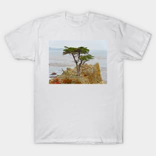 Lone Cypress Study 1 T-Shirt